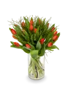 Bouquet of red tulips